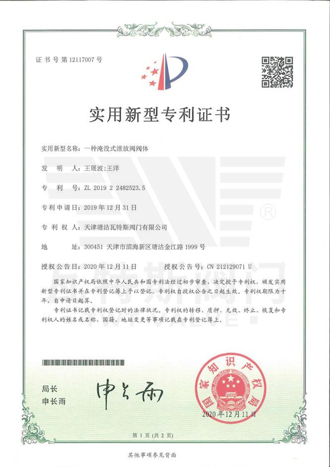 一种淹没式泄放阀阀体