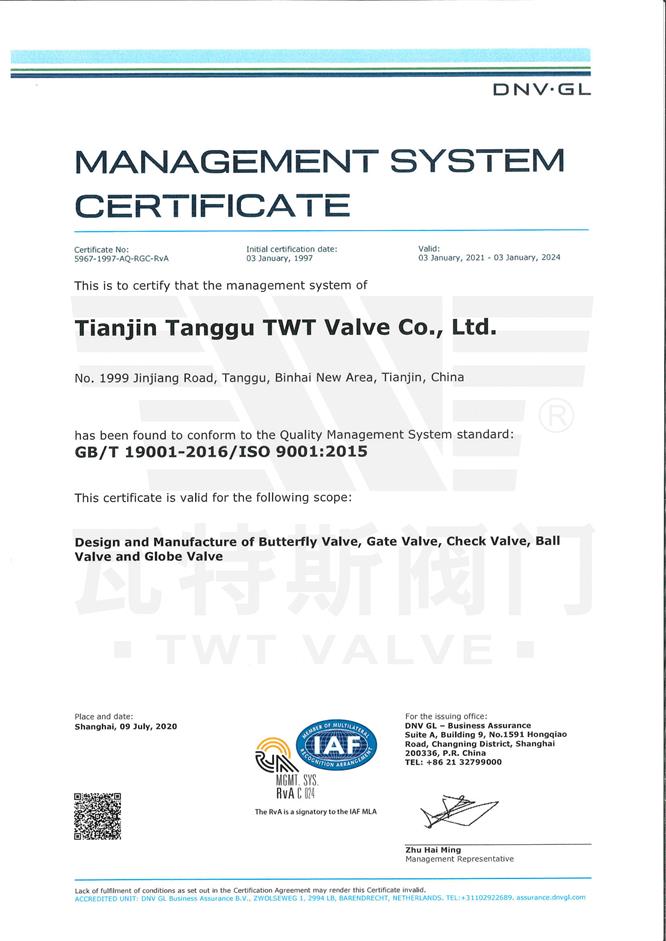 ISO-19001：2015质量体系认证英文